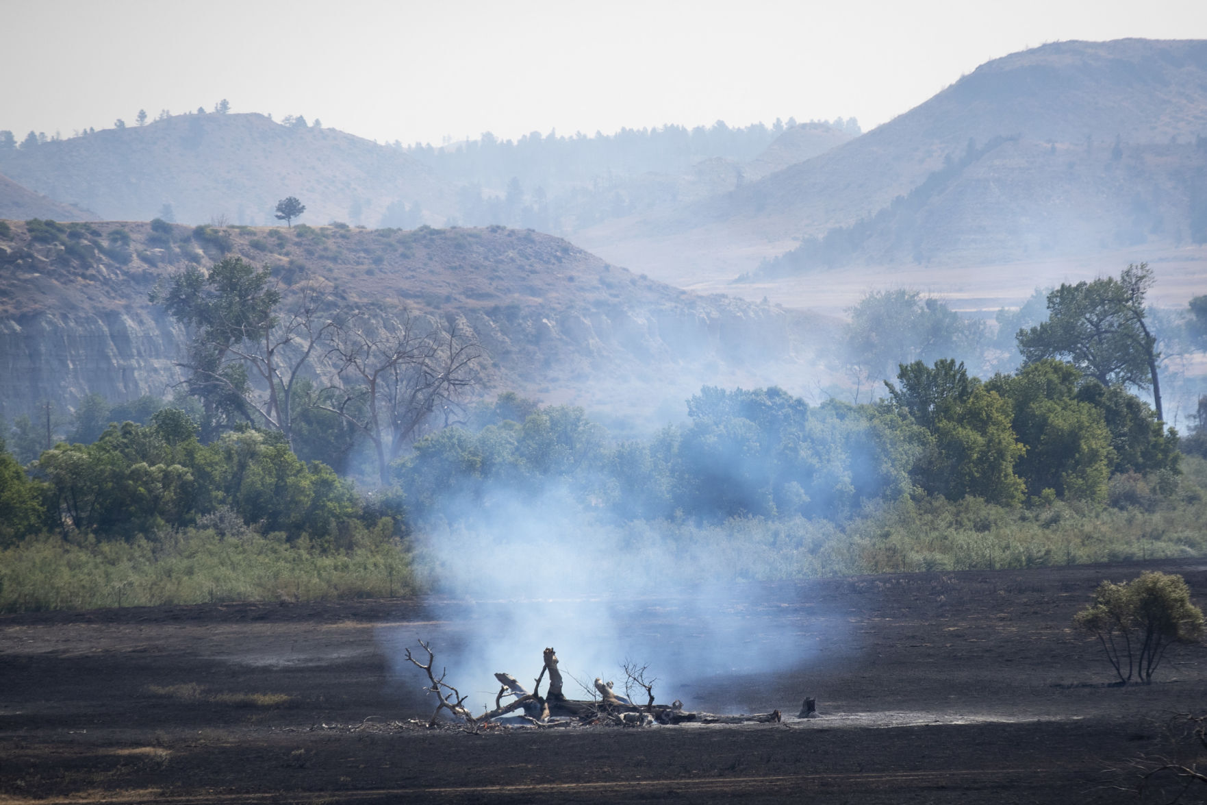Richard Spring fire